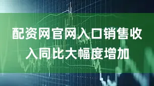 配资网官网入口销售收入同比大幅度增加