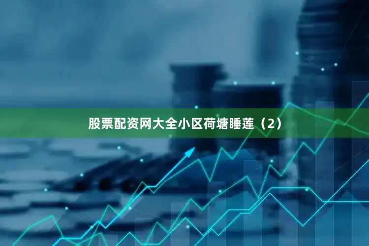 股票配资网大全小区荷塘睡莲（2）