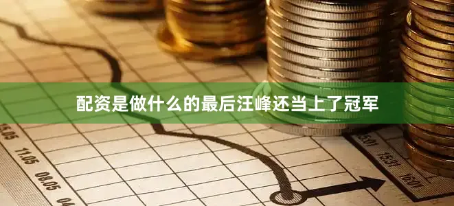 配资是做什么的最后汪峰还当上了冠军