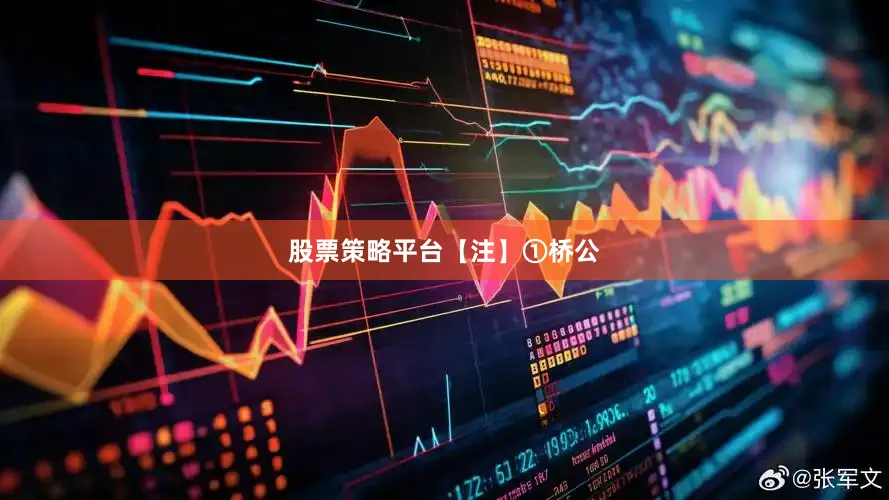 股票策略平台【注】①桥公