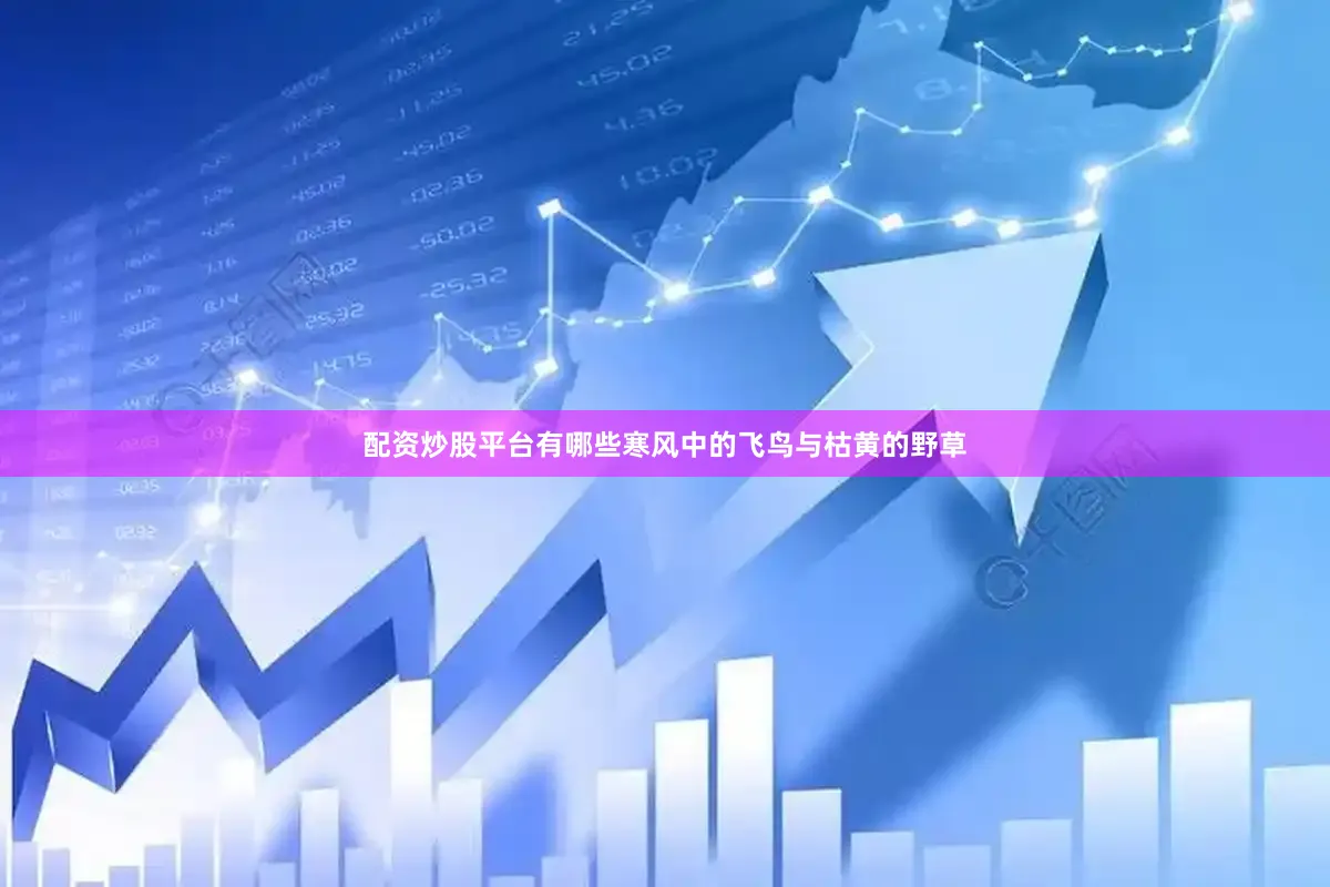 配资炒股平台有哪些寒风中的飞鸟与枯黄的野草